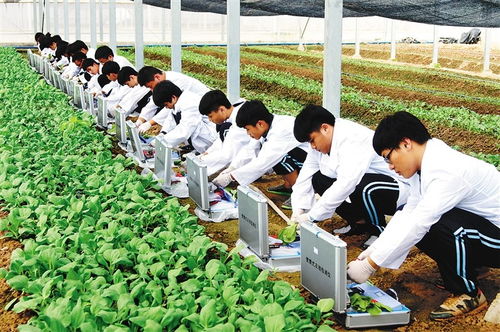 農大溫情畢業禮 萬斤水果贈學子，暖心與專業技能并重