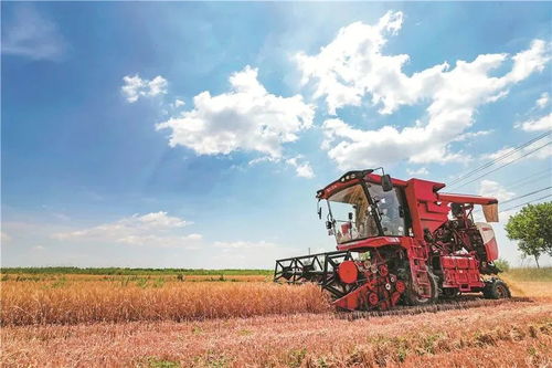 糧農組織推動種子與作物多樣性發展，保障全球糧食安全